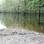 Floods like that of 2008 may cause tremendous damage to crops and buildings, but they are nature’s way of replenishing fisheries.