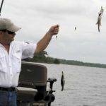With his four-jig rig, Hulin sometimes drags in two crappie at a time.