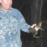 Clay Switzer shows off a fat, egg-laden female frog with zaftig thighs.