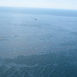 An estimated 42,000 gallons of crude oil are daily leaking into the Gulf of Mexico as part of the Deepwater Horizon disaster.