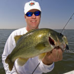 Venice bass are back, as proven by several "Marsh Madness" anglers including Louisiana Sportsman's Tony Taylor.
