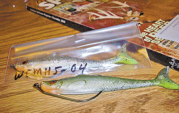 Why Did Trout Prefer This Lure Color Change? - Louisiana Fishing Blog