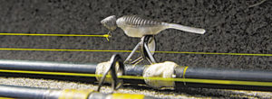 A black shad-colored Bass Assassin Tiny Shad is one of Pizzolato’s go-to baits for catching Belle River sac-a-lait.