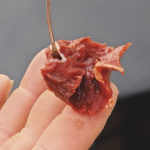 Ackaloy Paul, a meat-cutter for Rouses Supermarket in Morgan City, prefers a bloody bait like this cut piece of beef heart.