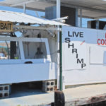 Like other coastal marinas, Joe’s Landing in Barataria carries as wide a range of live baits as possible for their fishermen.