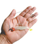 This 9-inch vinyl coated wire leader did the trick, helping the author catch his first Spanish mackerel.