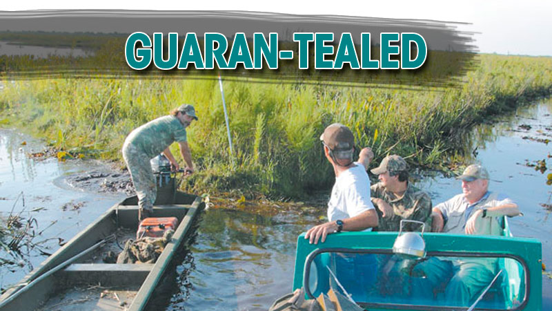 The White Lake WCA teal hunt is the easiest, most comfortable and well-guided trip you’ll ever take a chance on.
