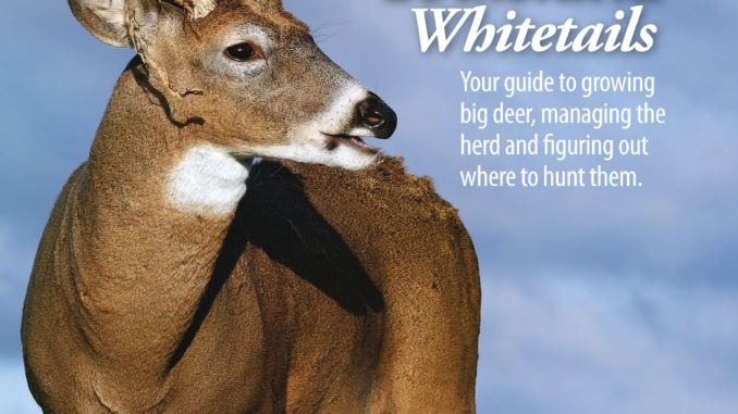 Louisiana Whitetails by Dave Moreland tells how to grow big deer and where  to hunt them