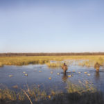 South Farm hunts are do-it-yourself. These hunters head out of their blinds to pick up their birds and decoys following a hunt.