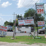 The irregular supply of storm minnows means that coastal bait shops never advertise them.