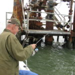 Getting the shrimp-tipped jig CLOSE to the structure is the key.