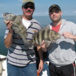 Many delectable puppy drum await the bait further down — if it makes it past the ravenous sheepshead.