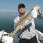 All reds caught from the “Green Monster” (exactly three miles offshore) qualify as legal keepers to help fill the “box.”