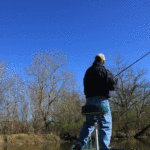 During the spawn, anglers can find bass in dead-end canals close to structure.