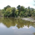 Jim Looney concentrates his bass fishing on points, as he calls the intersections of canals.
