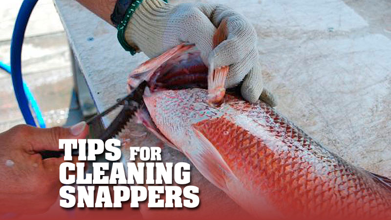Ricky Richoux of Slimeslingers Professional Fish Cleaning gives a detailed step-by-step guide of how he cleans red snapper.