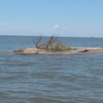 Fish will be hanging out around small islands like this one all summer.