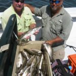 It wasn’t long before Darren Dennis and Capt. Casey Kieff got on a good bite and the cooler started to fill up.