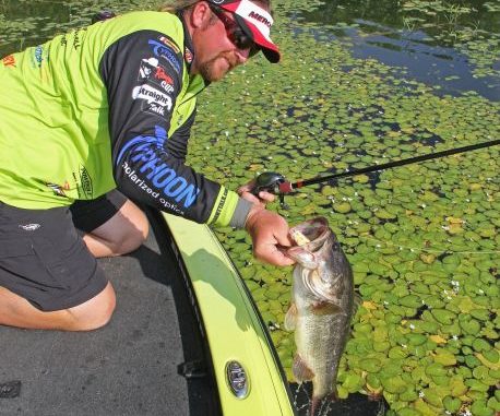 Slow down for more summer bass