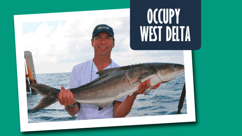 Anglers can head to the West Delta rigs to take advantage of the cobia invasion as these hard fighters make their way eastward.