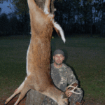 This 6-pointer was taken by Savant within the Sherburne Complex.
