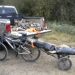Tools of Savant’s success include biking and deer transport in negotiating the interior of the Sherburne Complex and the Indian Bayou Area.