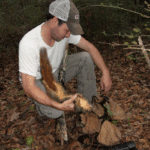 McCollister with a good fox squirrel taken from a small patch of hardwoods interlocked by cane fields in St. Mary Parish.