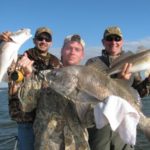 Kissing cousins black and red drum feed primarily on the crustaceans that swarm in the shallow waters of East Bay.