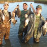 Hunting “potholes” in the rosseau canes means fewer decoys and tricky footing — but the ducks often drop straight down like in flooded timber.