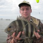 Spawning sheepshead are fat and ravenous around East Bay’s wellheads in January.