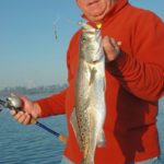 Spinnerbaits will also pick up quality trout such as this one caught by Ken Chaumont as he was working the bait over a reef in Turners Bay in Big Lake.