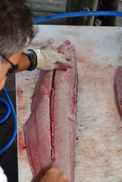 After cutting out and discarding the rib cage, cut near and to one side of the center line of the fillet along its length, separating it into two pieces. Set aside the piece without the darker center-line (blood line) flesh.