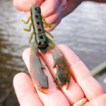 The Mister Twister Poc’it Craw gives Pittman a more realistic approach when fishing deep because of how it traps and releases air bubbles in the water.