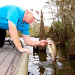 Getting off the bank to fish pressured bass could be as simple as fishing the deeper cypress knees when everybody else is fishing the shallow trunks.