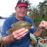 The bright red spot at the rear base of the dorsal fin is obvious on this goggle-eye held by Jim Looney.