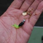 Beetle spin type lures are a favorite of Looney’s for goggle-eyes.