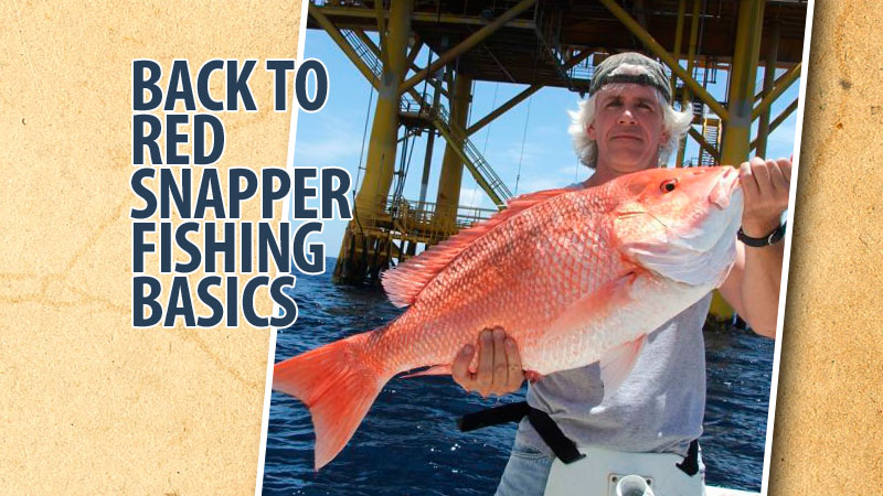 Terry Jacobs is what you might call old school. He eschews the myriad scientific thinking with regards to American red snapper, his favorite fish.