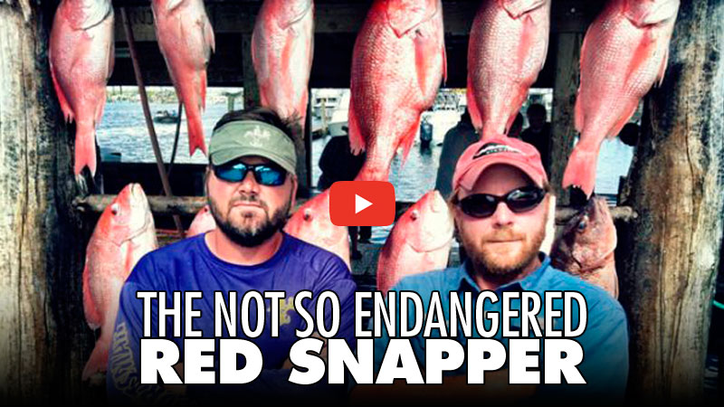 The crew of Sportsman TV had to clear some room in their freezer after a recent roundup of reef fish in the Gulf of Mexico.