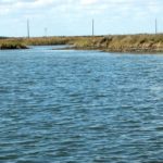 Davidson and McGinnis will fish the Carolina rig on points, mainly those where there is a break in the current. They will also seek out shell reefs along the Ship Channel that meet the mouths of the pockets going into the coves.