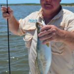 McGinnis said that anglers can find live cocahoes in brackish bayous, ditches and sloughs connected to Calcasieu Lake. They can be taken in minnow traps baited with dead shrimp or parts of cracked crab.