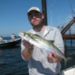 Prized in Florida, shunned (by most) in Louisiana, Spanish mackerel fight like maniacs and taste great. They’ll attack anything shiny, so forsake the swivel.