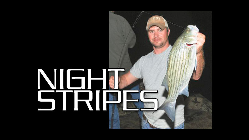 When darkness falls on Lake St. John, hybrid stripers swarm around pier lights. And these anglers know how to get them to bite.