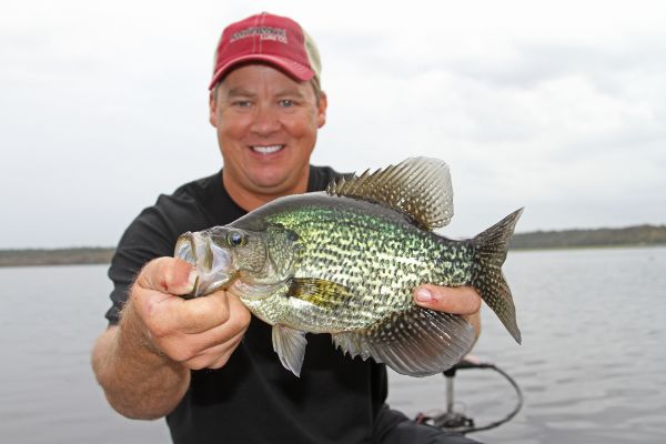 5 CRAPPIE BASS RIG UMBRELLA TESTED IN ALABAMA 3 ARMS .035 X 5" WEIGHTLESS 