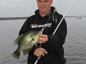 Crappie typically try to bust up large bait balls into smaller more manageable clusters, which these multi-arm rigs resemble.