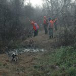 Beagles in pursuit of rabbits will often be re-directed by hunters to where they saw a rabbit quickly cross a trail.