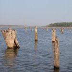 Slip float rigs allow anglers to suspend baits amid stumps and timber without casting a lot of loose line.