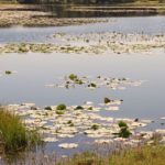 When midday sun casts a glimmering sheen on the water, managing all this light is critical for anglers.