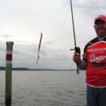 Fishing a 10-inch worm may scare off some anglers, but it brings fish to the boat when fished along D’Arbonne dropoffs.