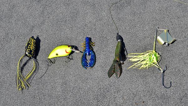 How to Power Fish Spinnerbaits for River Bass 