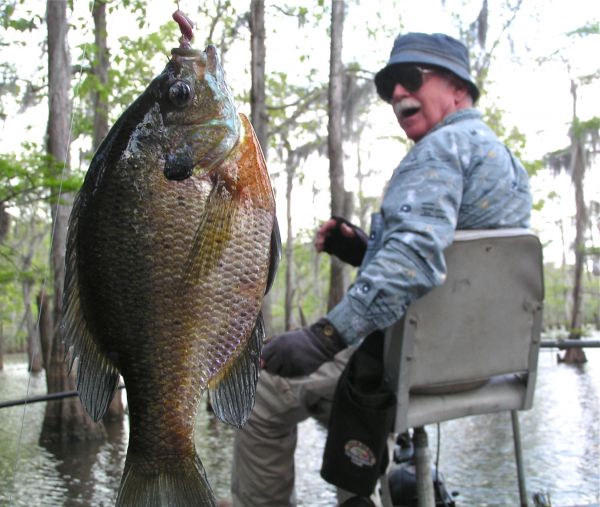 Top breamfishing tips from a North Louisiana expert